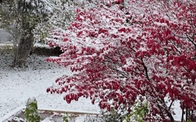 A Year of Growth, Discovery, and New Beginnings